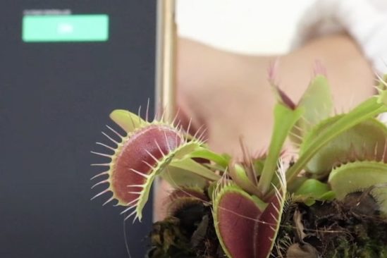 biologistes developpent dispositif communication vegetale