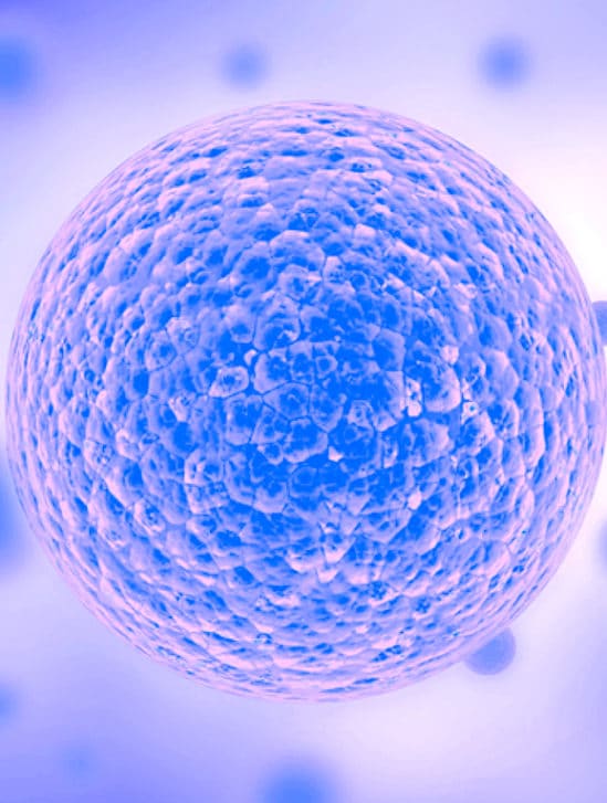chercheurs creent cellule synthetique simple qui croit divise comme cellule naturelle