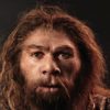 neandertal pouvait produire langage oral complexe similaire humains