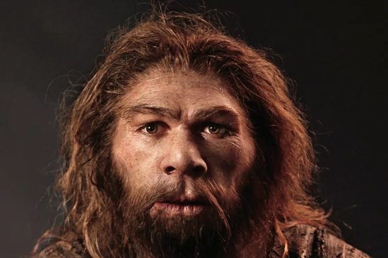 neandertal pouvait produire langage oral complexe similaire humains