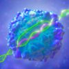 nouvel editeur genes CGBE pour supprimer maladies genetiques
