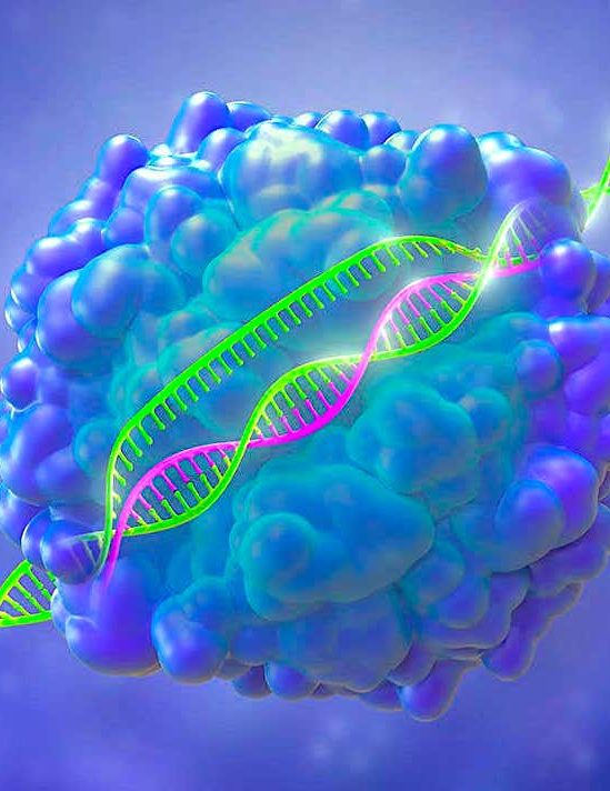 nouvel editeur genes CGBE pour supprimer maladies genetiques