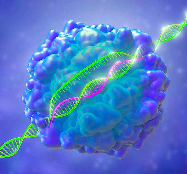 nouvel editeur genes CGBE pour supprimer maladies genetiques
