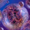 physiciens simulent 4000 univers mieux comprendre univers primitif