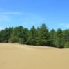 revegetaliser deserts defi ingenierie environnementale planetaire