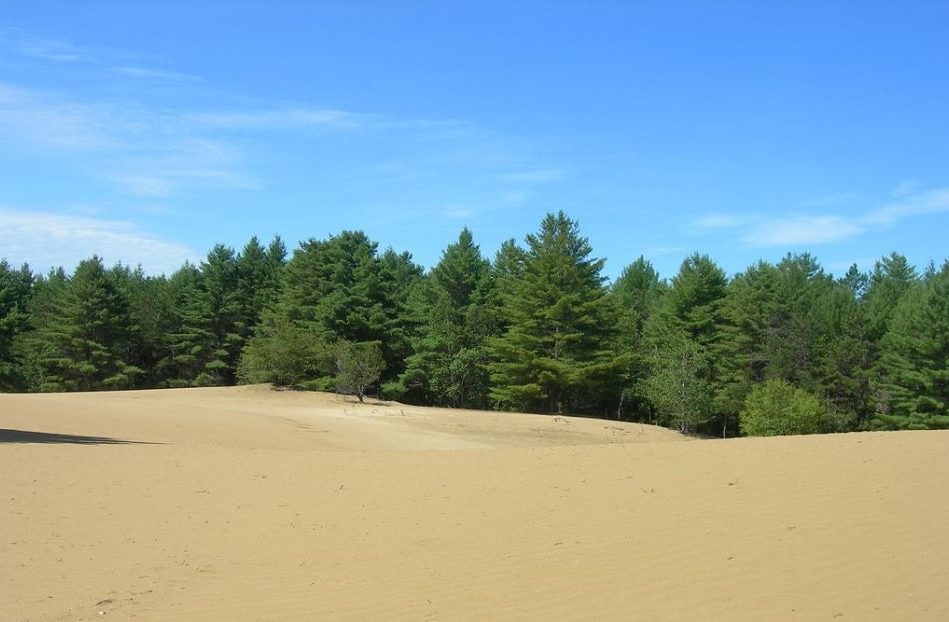 revegetaliser deserts defi ingenierie environnementale planetaire