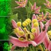 chercheurs decouvrent dernier repas pollinisateur cretace