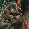 decouverte pterosaure jurassique dote pouces opposables