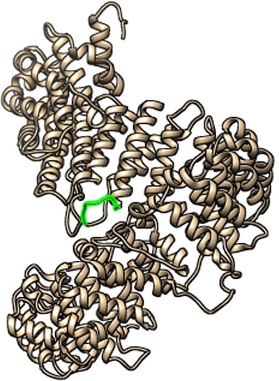 image 3d proteine epitope