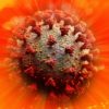 lumiere solaire neutralise coronavirus huit fois rapidement prevu