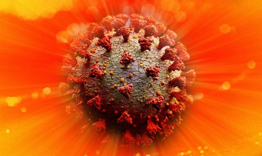 lumiere solaire neutralise coronavirus huit fois rapidement prevu