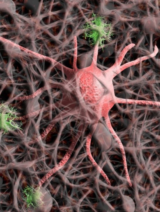 neurones artificiels réponse consciente