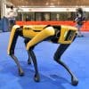 retrait chien robot police New York