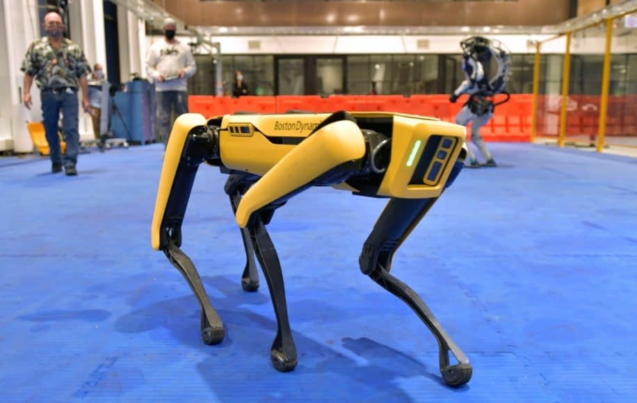 retrait chien robot police New York
