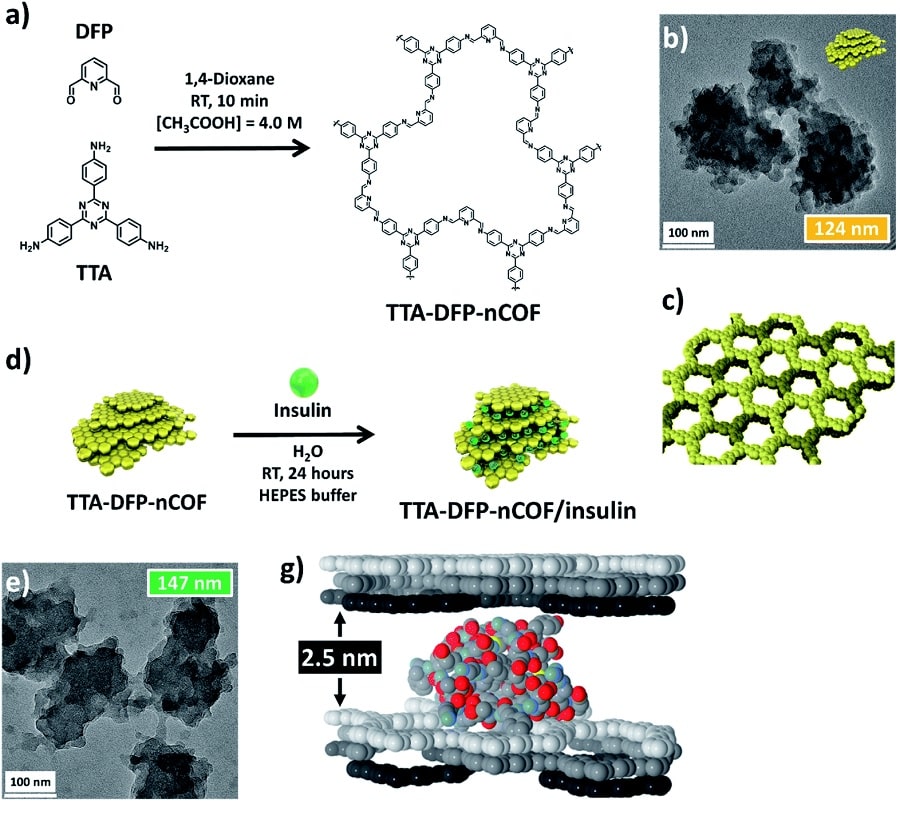 structure nanomateriaux microscope insuline