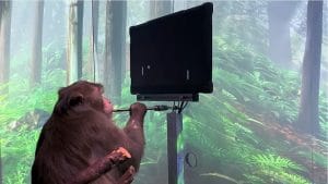video neuralink montre singe jouant pong via esprit