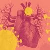 covid jeunes adultes maladie endommage durabelment systeme cardiovasculaire