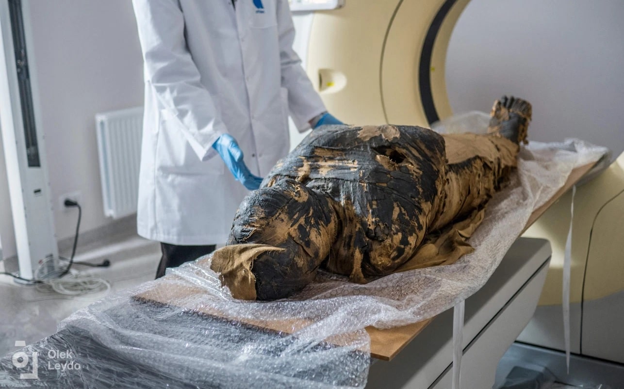 Pour la première fois, une momie égyptienne enceinte a été découverte