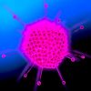 eradiquer tumeurs interieur grace virus modifies
