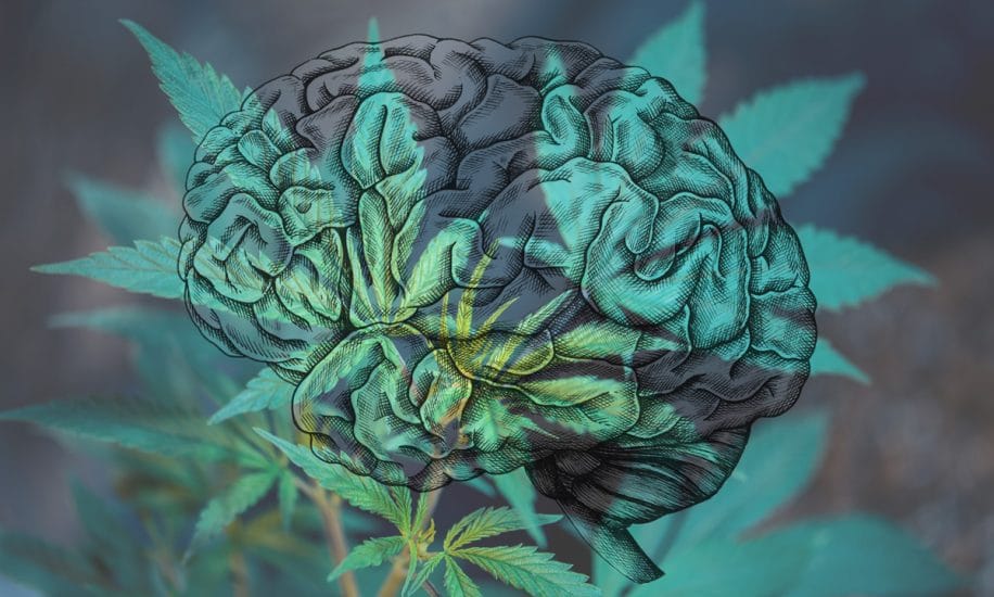 premier essai clinique cannabis traitement migraine en cours