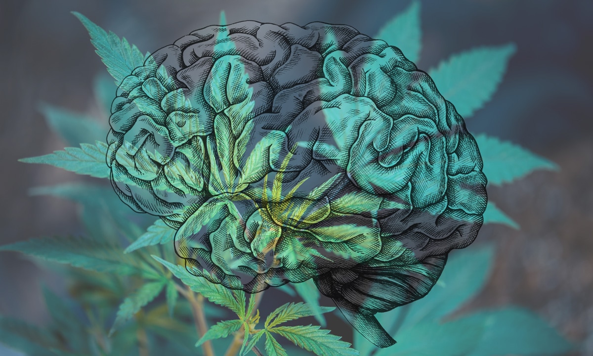 Le premier essai clinique sur le cannabis comme traitement de la migraine est en cours