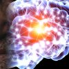 premiers signes maladie parkinson detectes dans nez