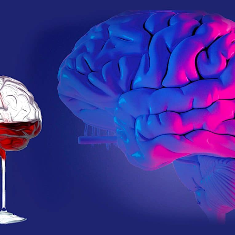 toute consommation alcool nocive pour cerveau selon etude