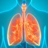 vaccin contre asthme efficace chez animaux