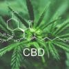 cbd pourquoi interesser cannabinoide