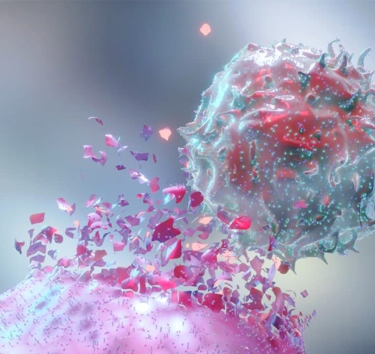 cellules genetiquement modifiees attaquent tumeurs epargnent cellules saines