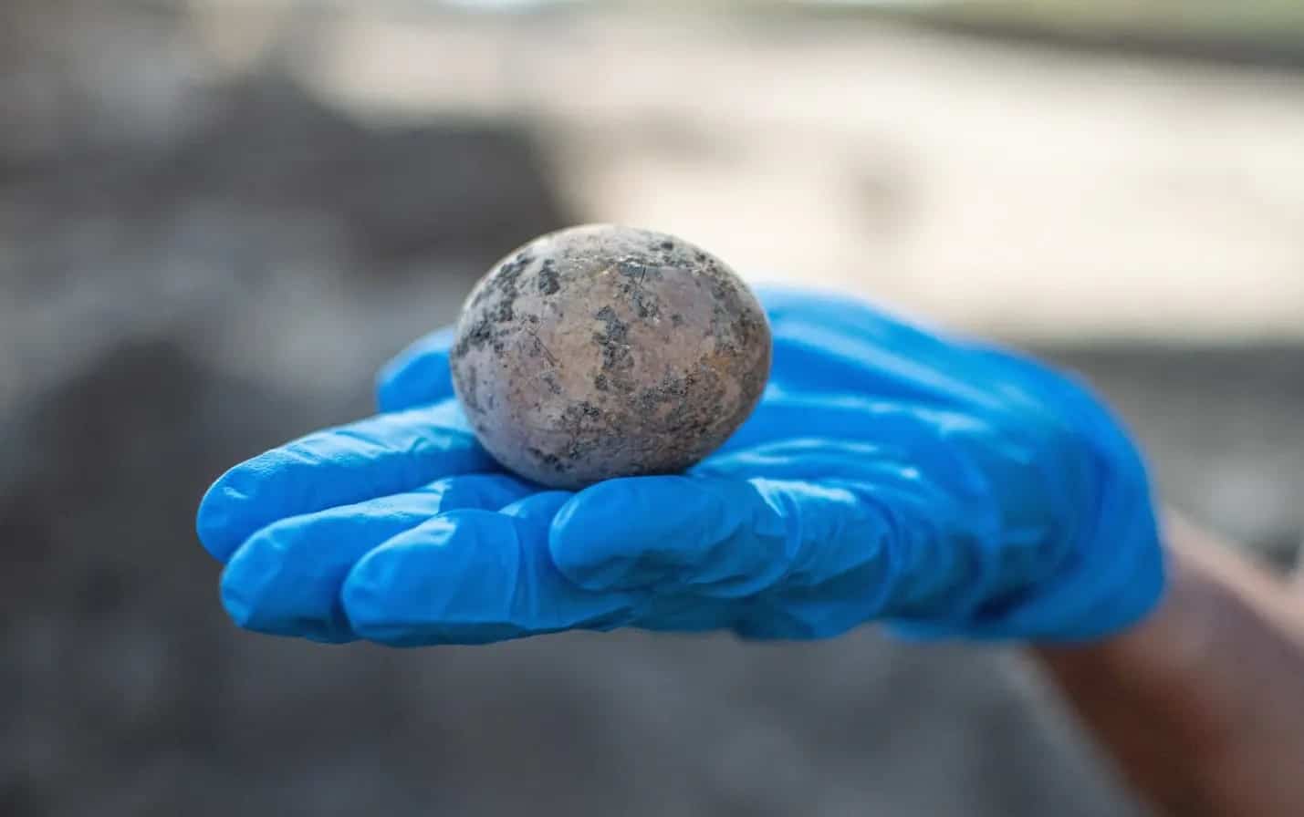 Des archéologues israéliens découvrent un œuf de poule intact vieux de 1000 ans