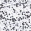 decouverte rangee galaxies si vaste qu elle remet en question comprehension univers