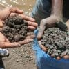 extraction cobalt conséquences congo