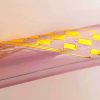 implant gonflable injecte dans colonne vertebrale pourrait soulager douleur chronique