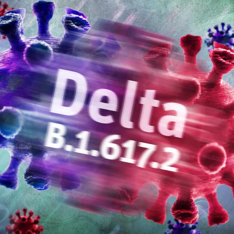 variant delta en passe devenir cause dominante covid-19 dans monde