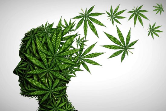 cas schizophrenie lies consommation cannabis augmentation