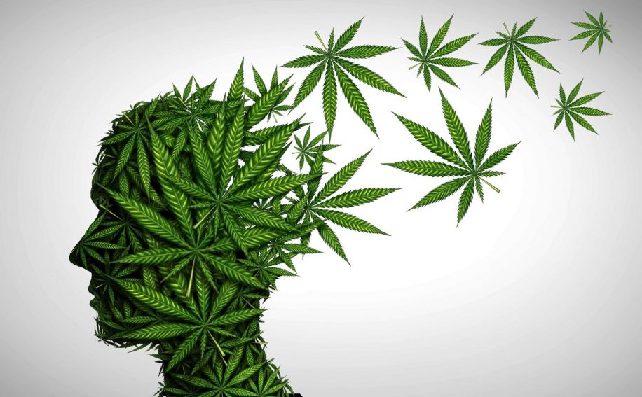 cas schizophrenie lies consommation cannabis augmentation