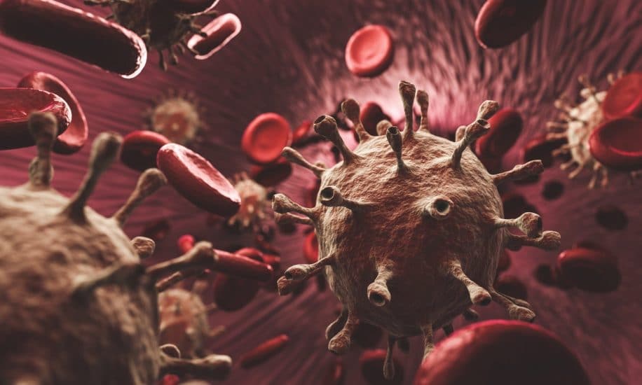 covid impacte durablement cellules sanguines