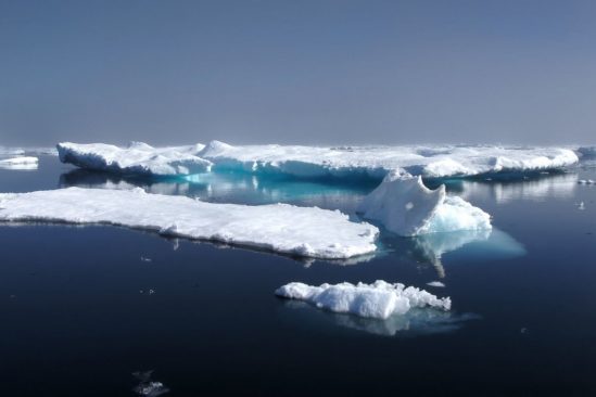 derniere zone glace pourrait pas survivre rechauffement climatique
