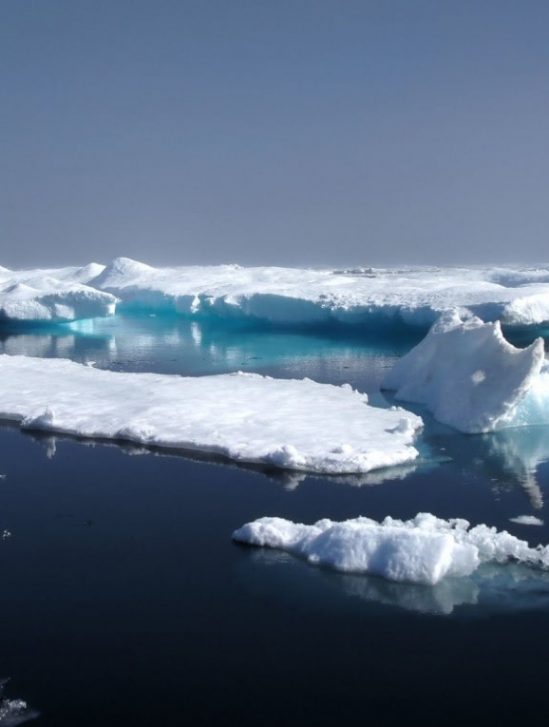 derniere zone glace pourrait pas survivre rechauffement climatique