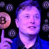 elon musk declare probable tesla accepte a nouveau bitcoin