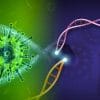 espoir traitement covid efficace outil edition genetique crispr bloque replication virus