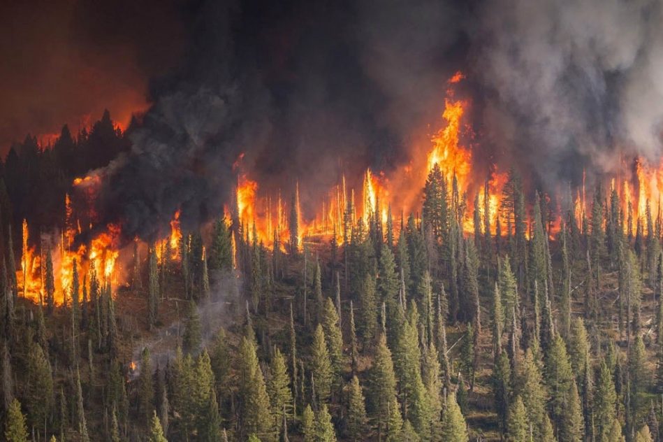 incendies destructeurs inondations meurtrieres frappent trois continent