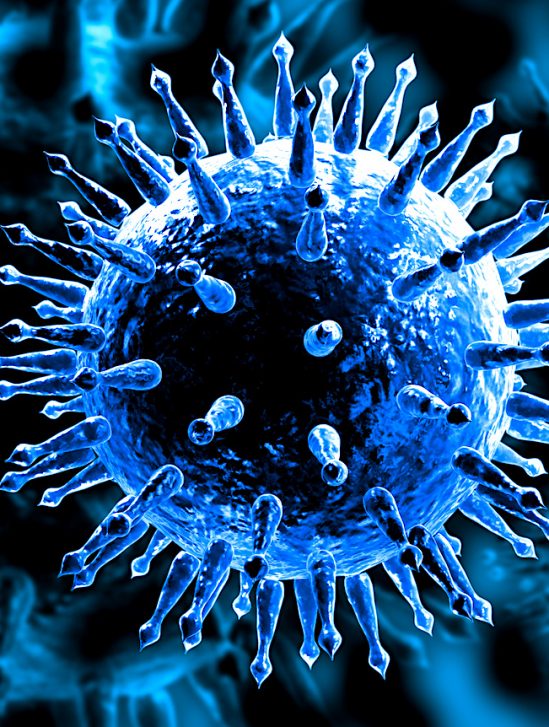 moderna commence essai sur homme vaccin grippe arnm