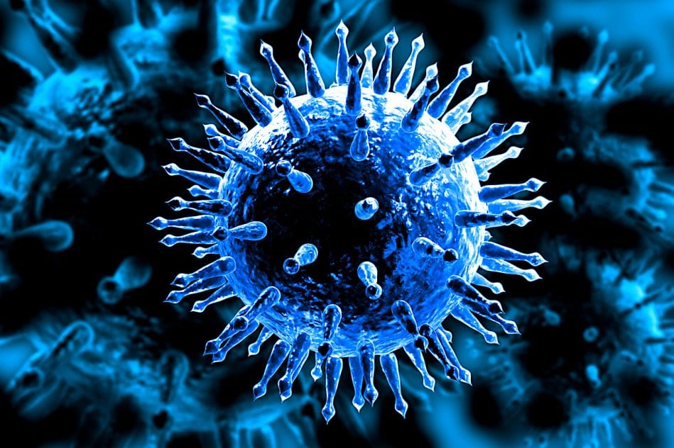 moderna commence essai sur homme vaccin grippe arnm