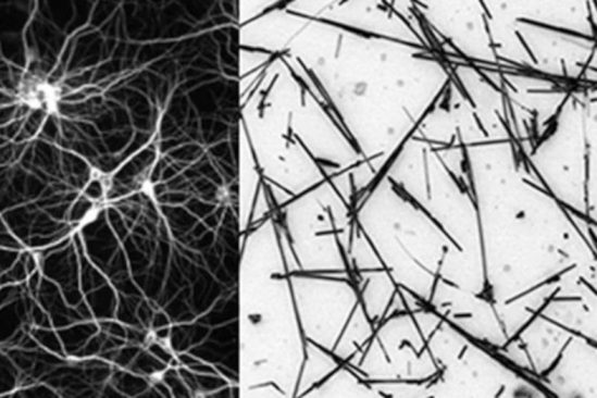 réseau nanofils état frontière chaos performance