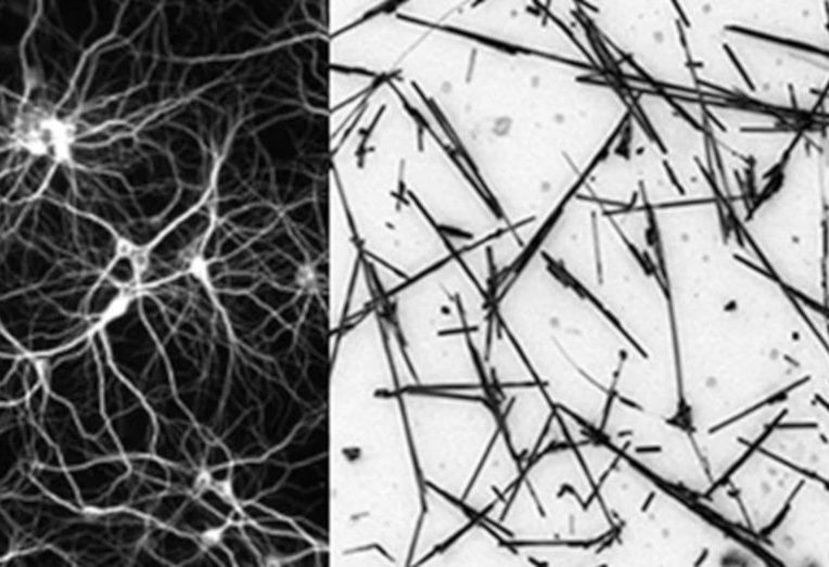 réseau nanofils état frontière chaos performance
