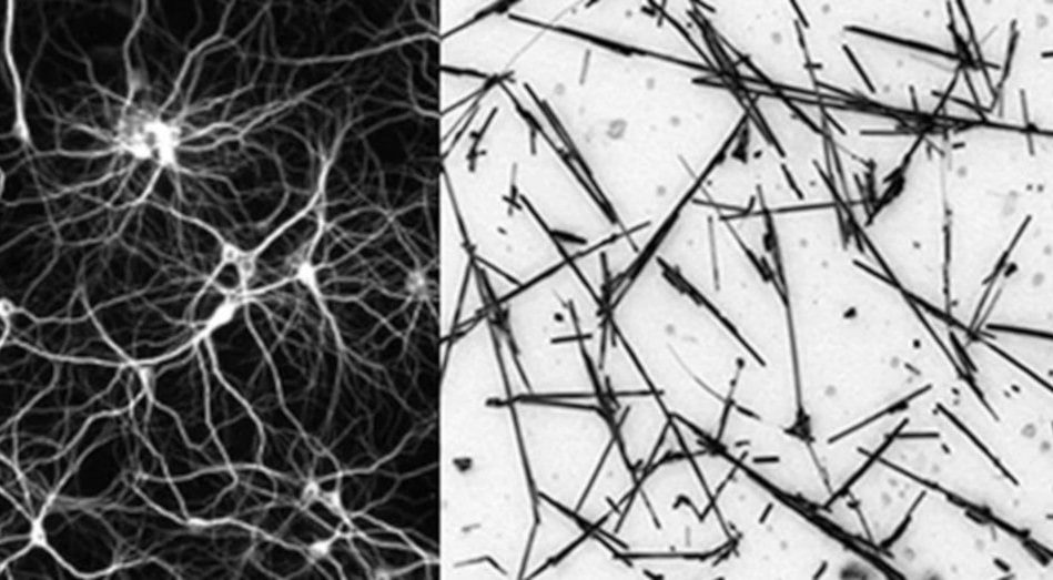 réseau nanofils état frontière chaos performance