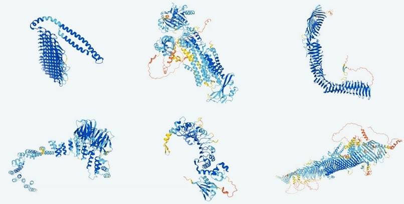 structures proteines deepmind
