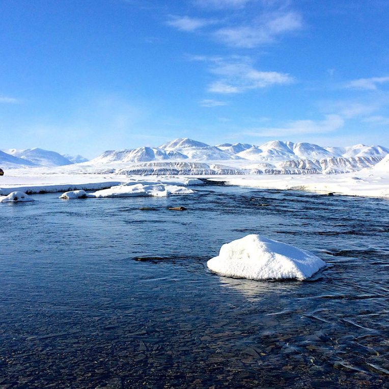 changement climatique augmente risque propagation virus anciens animaux arctique lac hazen